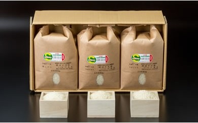 特別栽培米 小城のお米　3種類×2kg 田中農場　令和5年度産