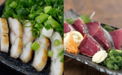 ウツボのたたきとカツオの藁焼きたたきセット Ns006 高知県須崎市 ふるさと納税 ふるさとチョイス