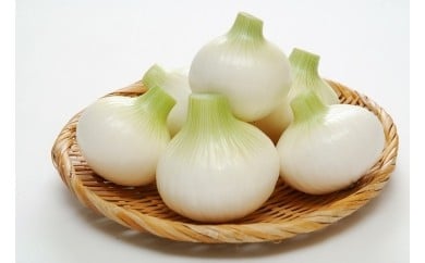 【もうすぐ終了！！】白子たまねぎ２０ｋｇ