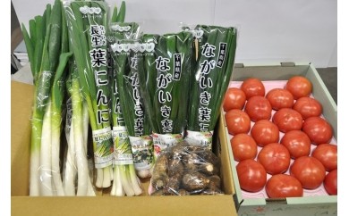 季節の野菜詰め合わせ＆長生きトマト１箱