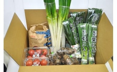 季節の野菜と玄米５ｋｇ詰め合わせ