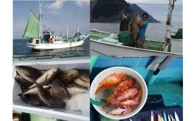 1日釣り体験(3人まで貸切)