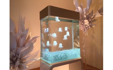 A 17 浮遊体アート 人工クラゲ 水槽インテリア 奈良県奈良市 ふるさとチョイス ふるさと納税サイト