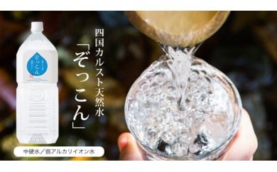 【C122】四国カルスト天然水ぞっこん 2L(6本入り)×2ケース 計12本