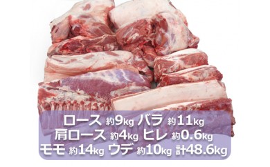 No 134 かながわの名産百選あつぎ豚一頭買い 豚肉 ブランド豚 ロース バラ 肩ロース ヒレ モモ ウデ 神奈川県 神奈川県厚木市 ふるさと納税 ふるさとチョイス