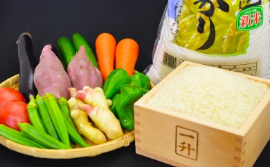 新鮮 ちょこっと野菜と高知県産コシヒカリ5kg Npo001 高知県須崎市 ふるさと納税 ふるさとチョイス