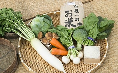 (015-050)　石井町産美味しい野菜＆お米(6kg）の詰め合わせセット 13336 - 徳島県石井町