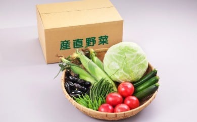 06A3010B　天童産・産直野菜の詰め合わせ(8月分)