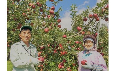 802*信州小川村成就地区限定リンゴの樹オーナー
