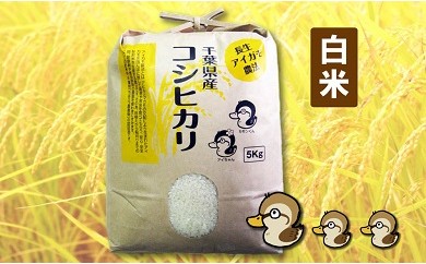 アイガモ農法によるお米(白米5kg)