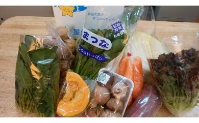 A-37　星の郷野菜セット 215841 - 岡山県井原市