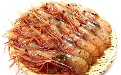 515 超特大ボタンエビ1kg
