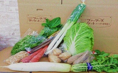 A-05　季節の野菜ふるさとパック 215777 - 岡山県井原市