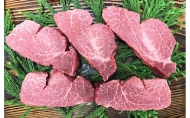飛騨牛 ヒレステーキ（テート） 最高ランク5等級  牛肉 和牛 飛騨市推奨特産品