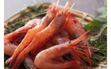 【香住の甘エビ 500g×3パック】 日本海で水揚げされた鮮度抜群の甘えびを船内で急速冷凍しました。短時間で急速冷凍 細胞を壊さず、食品の美味しさをキープ 産地直送 香美町 香住 山陰 国産 刺身 塩焼き 海鮮 04-03　