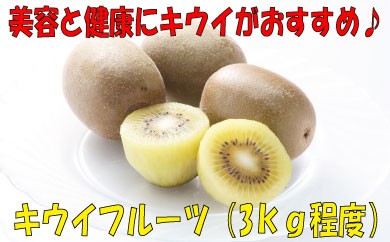 ※写真はイメージです。