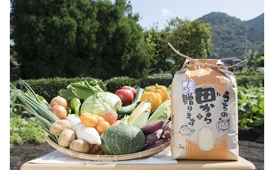 せいよ旬の野菜・果物・宇和米5kg詰合せセット 228660 - 愛媛県西予市
