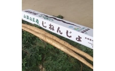 Ac01 自然薯 ２本 １kg 茨城県古河市 ふるさと納税 ふるさとチョイス