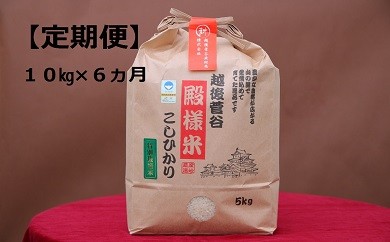 J 缶deボローニャ６缶セット 新潟県新発田市 ふるさと納税 ふるさとチョイス