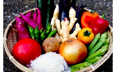 南国 土佐の新鮮 お野菜  (8品程度) と お米セット (2kg) 野菜 米 須崎 高知 NK003