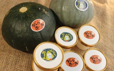 「遠野産かぼちゃ」のジェラート / 遠野ふるさと野菜	 924164 - 岩手県遠野市