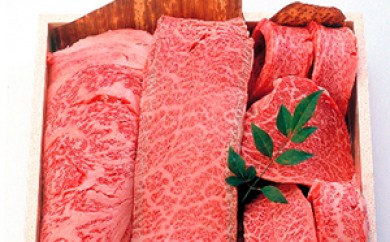 [№11-0052]肉や大善　ブランド牛7部位おまかせ焼肉セット 352961 - 愛知県知立市