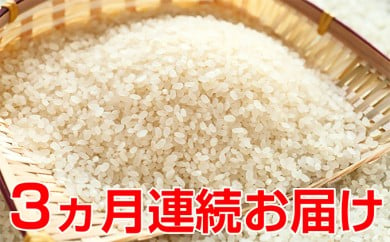 新米![3ヶ月連続]特別栽培米コシヒカリ 5kg