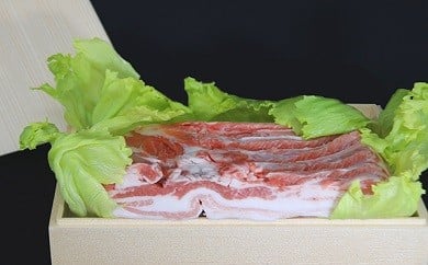 坂東市産 豚バラブロック 約1.3kg