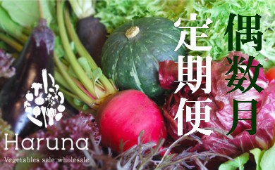 野菜[偶数月]定期便 香南市のお野菜詰め合わせコース