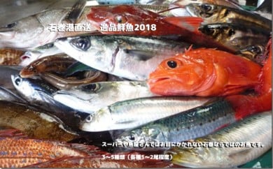 石巻港直送 逸品鮮魚 849581 - 宮城県石巻市