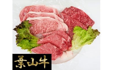 葉山牛ステーキ三昧 / 牛肉 和牛 ヒレ サーロイン ランプ 神奈川県 特産品