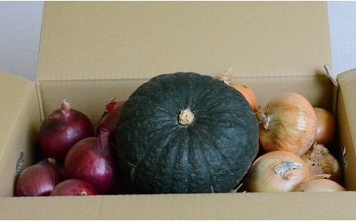 秋野菜セット（玉ねぎ8kg、紫玉ねぎ2kg、かぼちゃ1玉） 309490 - 北海道中富良野町