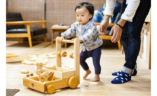 10 35 山のくじら舎ピヨピヨ ておしぐるま 受注生産品 高知県安芸市 ふるさと納税 ふるさとチョイス