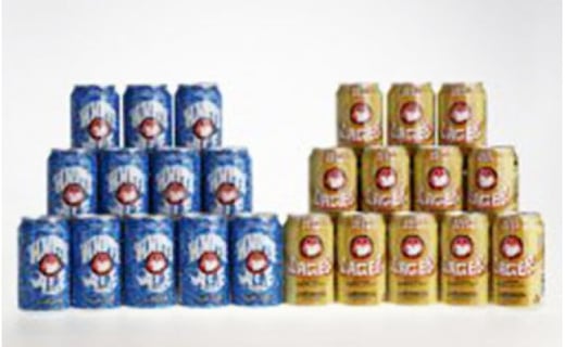 常陸野ネストビール 缶 ふるさと24本セット 茨城県那珂市 ふるさと納税 ふるさとチョイス
