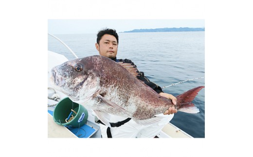 神子元島 船でのコマセ釣り夢の大物釣り半日体験 静岡県下田市 ふるさと納税 ふるさとチョイス
