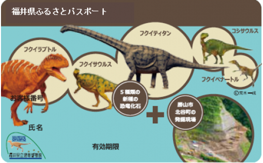 福井県ふるさとパスポート 県立恐竜博物館の年間パスポートとして使用できます 福井県外在住の方限定 福井県 ふるさと納税 ふるさとチョイス