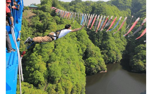 高さ最大100ｍ 日本一のバンジージャンプ 体験クーポン1名様分 茨城県常陸太田市 ふるさと納税 ふるさとチョイス