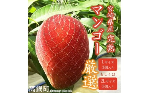 ＜宮崎県産完熟マンゴー（Lサイズ3個 or 2Lサイズ2個）＞2022年6月初旬～8月初旬迄に順次出荷します。