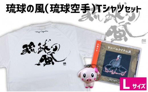 琉球の風 琉球空手 白tシャツセット Lサイズ 沖縄県糸満市 ふるさと納税 ふるさとチョイス