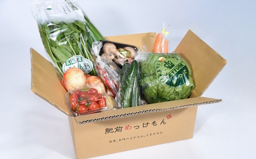 F 6ヶ月お届け 肥前の国のお野菜定期便 佐賀県鹿島市 ふるさと納税 ふるさとチョイス