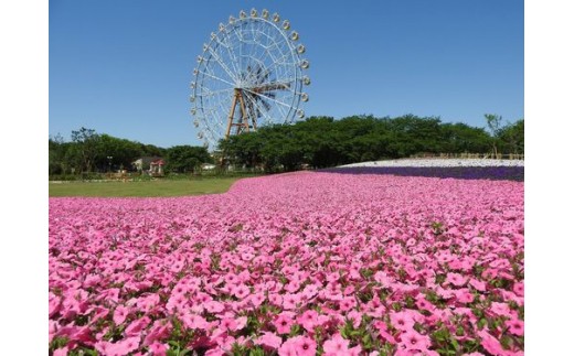 東武動物公園「アトラクションパスセット」（ペア） - 埼玉県宮代町