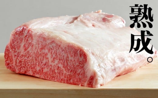 飛騨牛 サーロインブロック 1kg シャトーブリアンブロック 500g 熟成肉『山勇牛』 牛肉 和牛