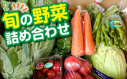 旬の野菜詰め合わせ 1264195 - 千葉県富津市