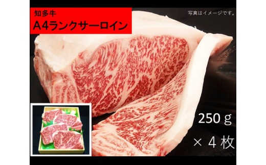 知多牛サーロインステーキ4枚(A4ランク) / 牛肉 ブランド牛 愛知県 特産品