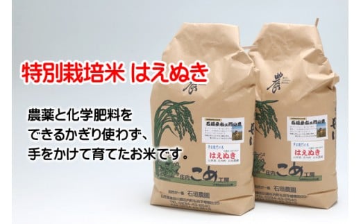 石垣農園の特別栽培米はえぬき10kg