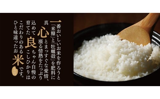 TA-02-6. 真庭市産コシヒカリ　米ぬか牡蠣栽培米『一心良米』 白米10ｋｇ(5kg×２袋）×6回（定期便）