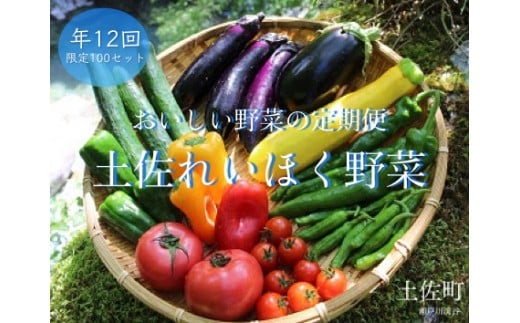 tthy2土佐れいほく野菜（年12回） 394847 - 高知県土佐町