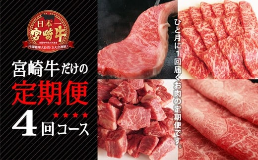 宮崎牛4ヵ月定期便＜ステーキ、焼肉、すき焼き&しゃぶしゃぶ、煮込みセット＞【E44】