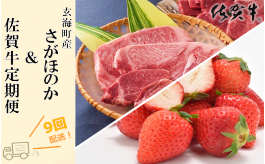 玄海町産さがほのか＆佐賀牛定期便【9回】