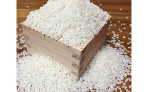 2020年度 収穫したて 岐阜県産ハツシモ　玄米10キロ　精米あり